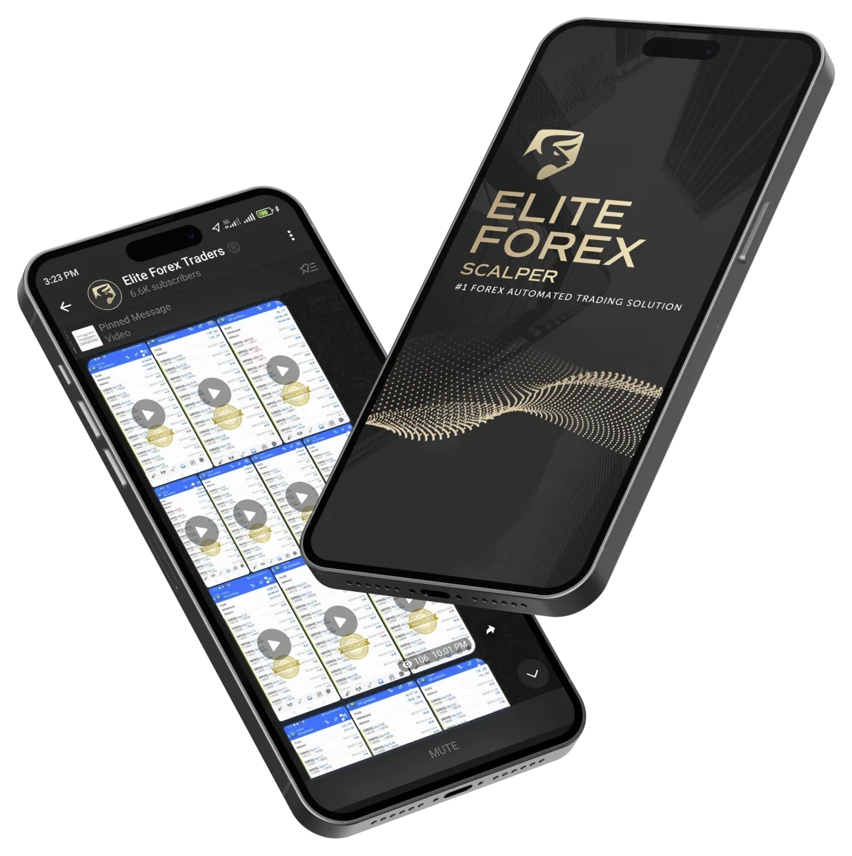 Elite Forex Scalper and Telegram mobile mockup